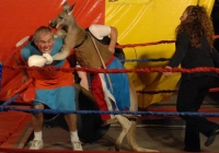Video võ thuật: Kịch tính như đấm bốc với Kangaroo Video võ thuật: Kịch tính như đấm bốc với Kangaroo